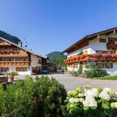 Apartment Edelweiss *
